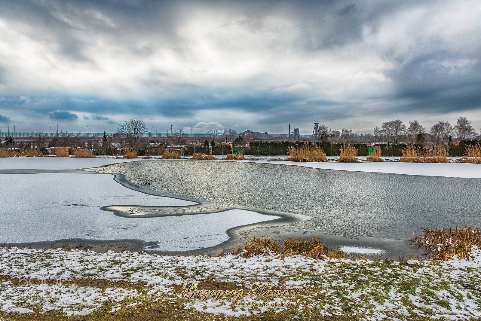 Nikon D800 sample photo. Spojrzenie na cz ciowo photography