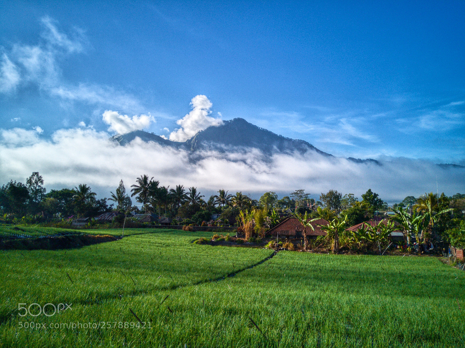 HUAWEI P10 Plus sample photo. Volcano above the clouds photography