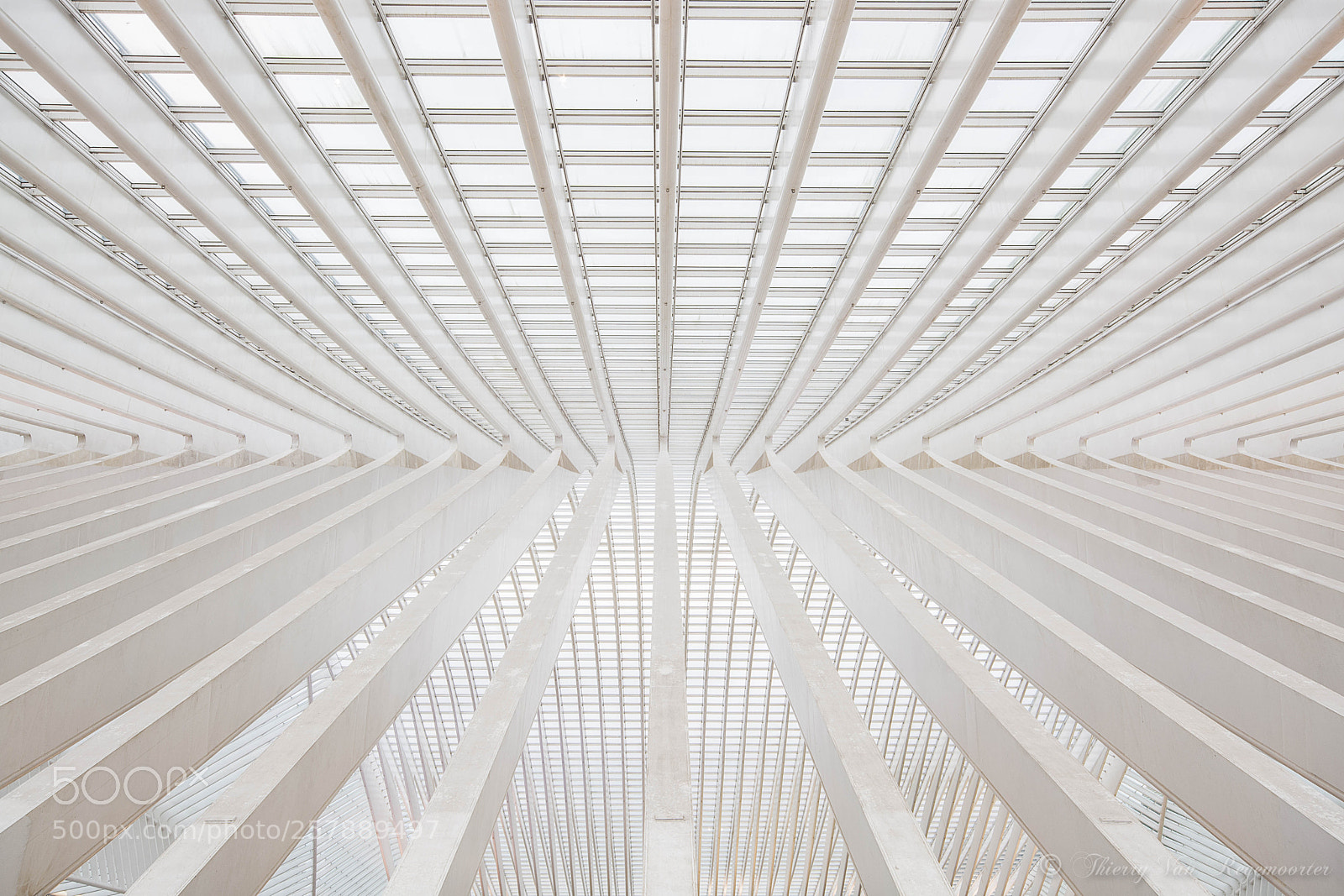 Nikon D7100 sample photo. Gare des guillemins li photography