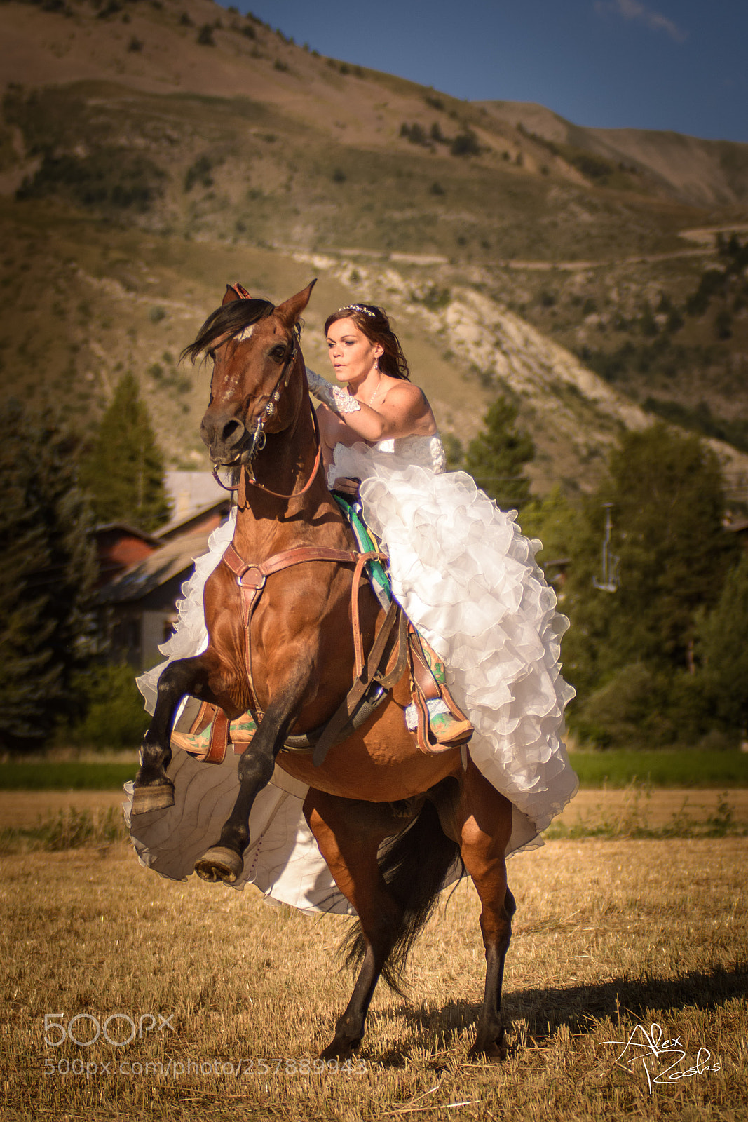 Nikon D7100 sample photo. Julie & oscar photography