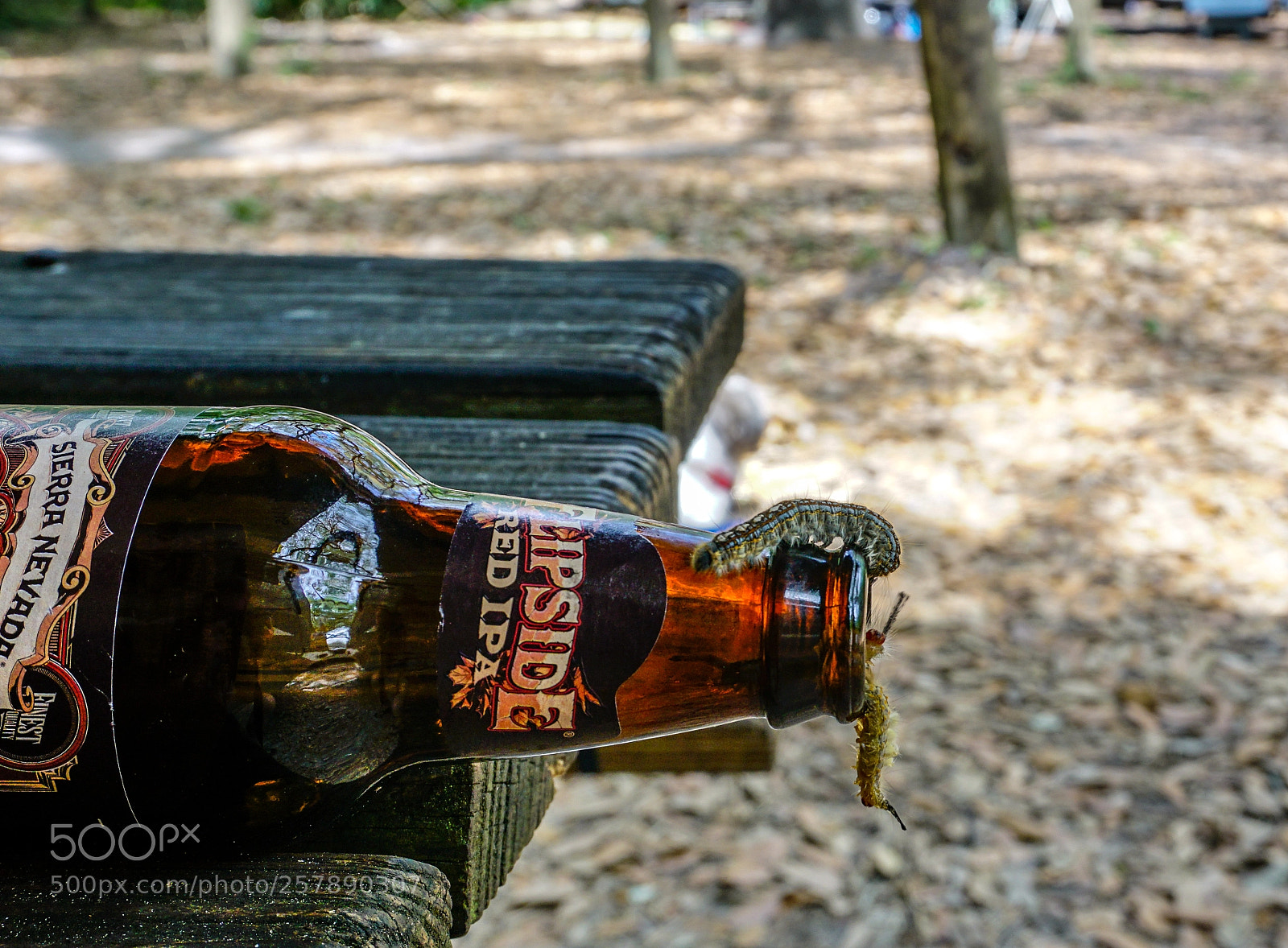 Sony a6300 sample photo. Beer lovers photography