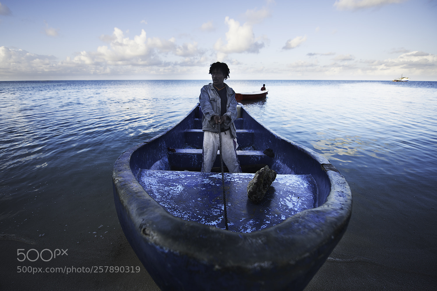 Nikon D810 sample photo. Miskito & panga photography