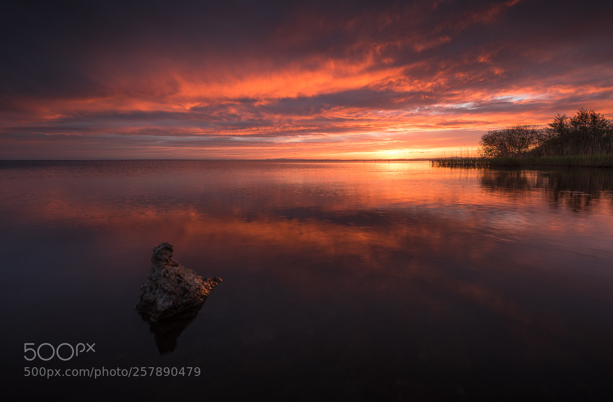 Nikon D810 sample photo. Lough neagh photography