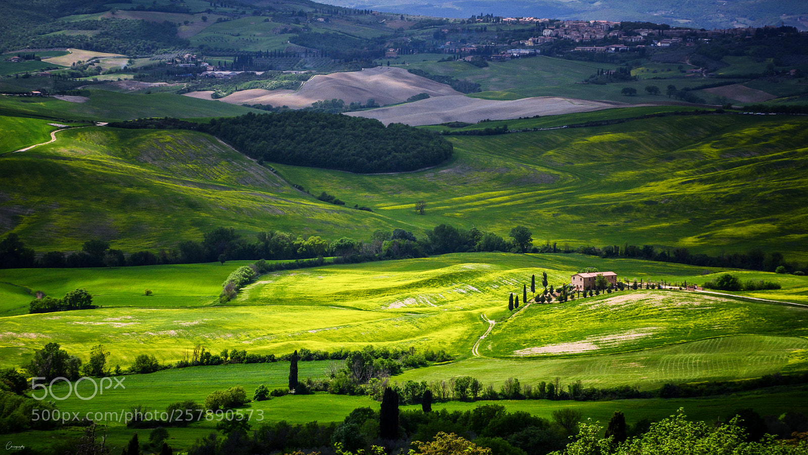 Nikon D7100 sample photo. Green tuscany photography