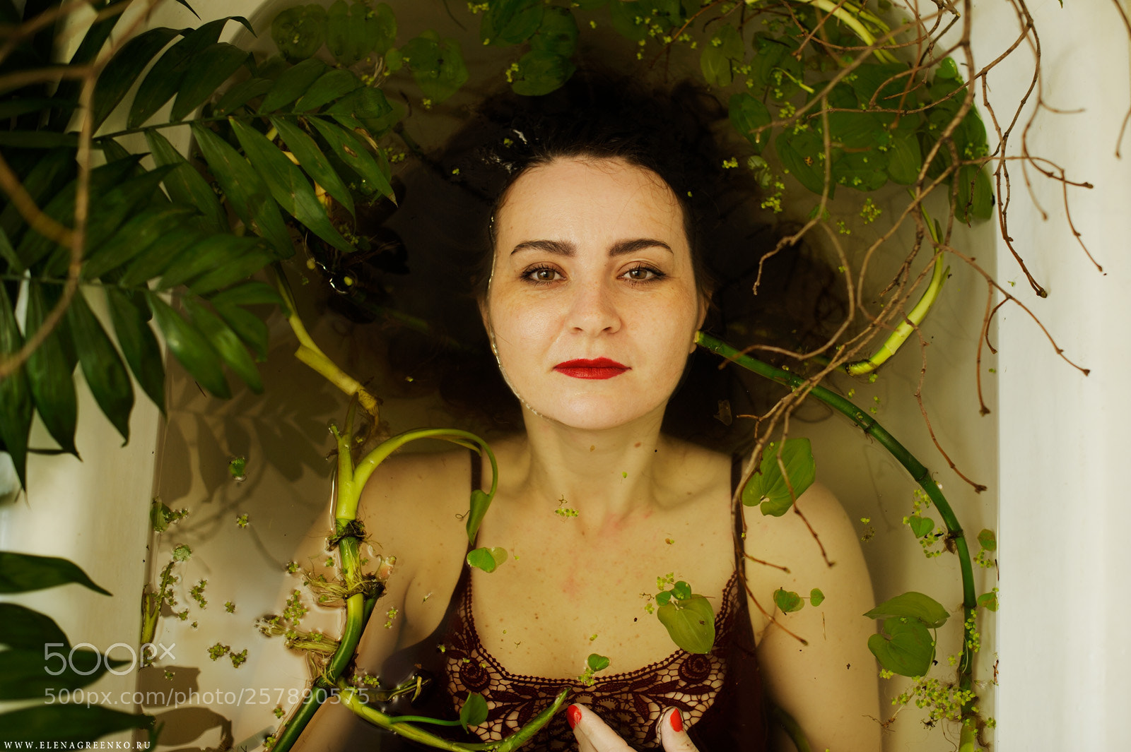 Nikon D3S sample photo. Botanica photography