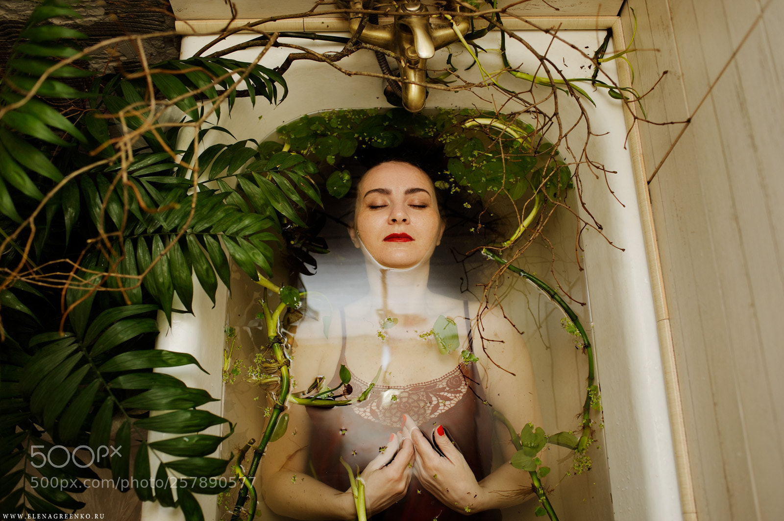 Nikon D700 sample photo. Botanica photography