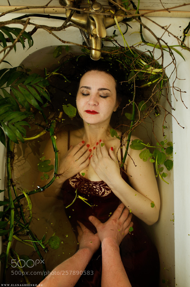 Nikon D3S sample photo. Botanica photography