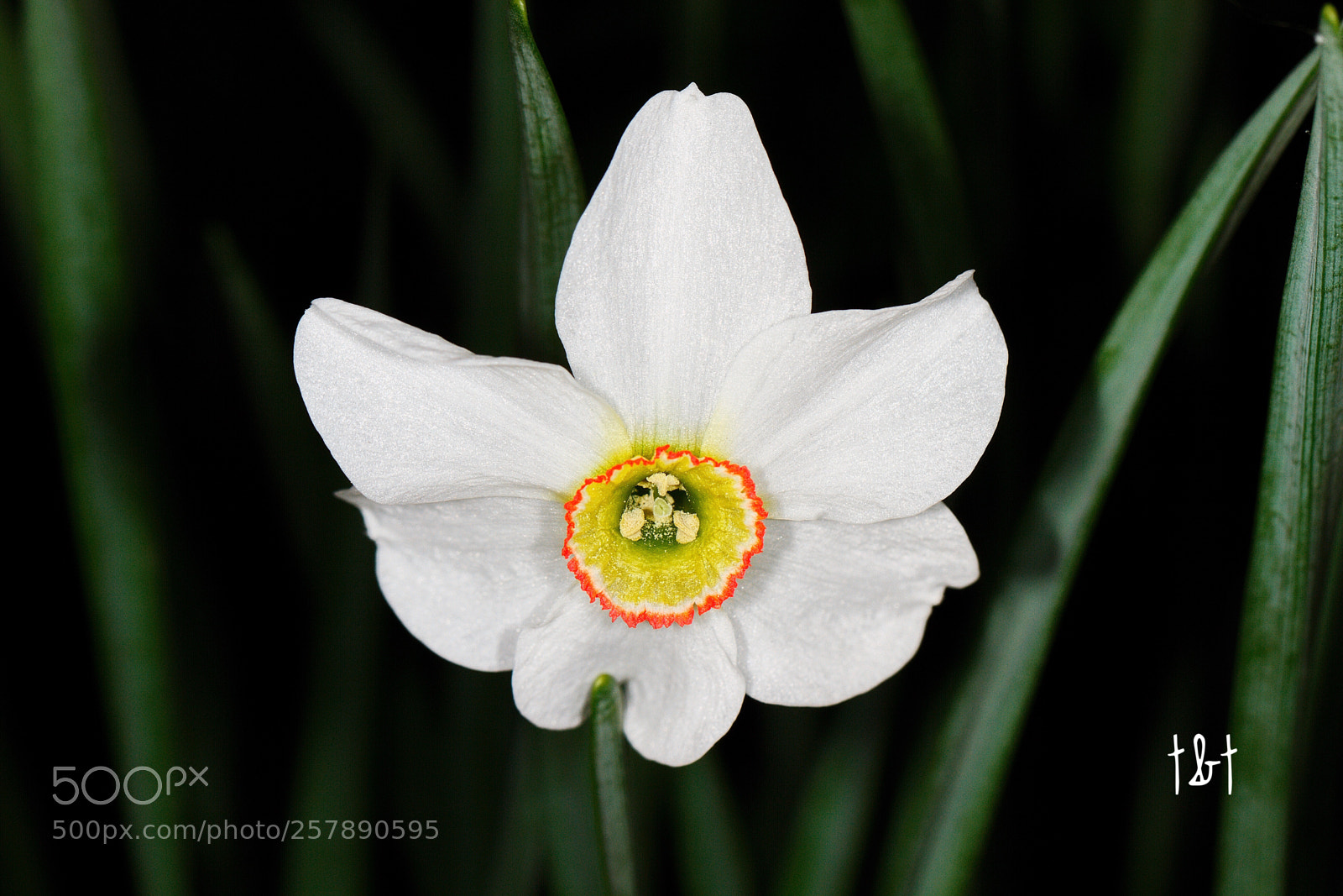 Canon EOS 7D sample photo. Untitled photography