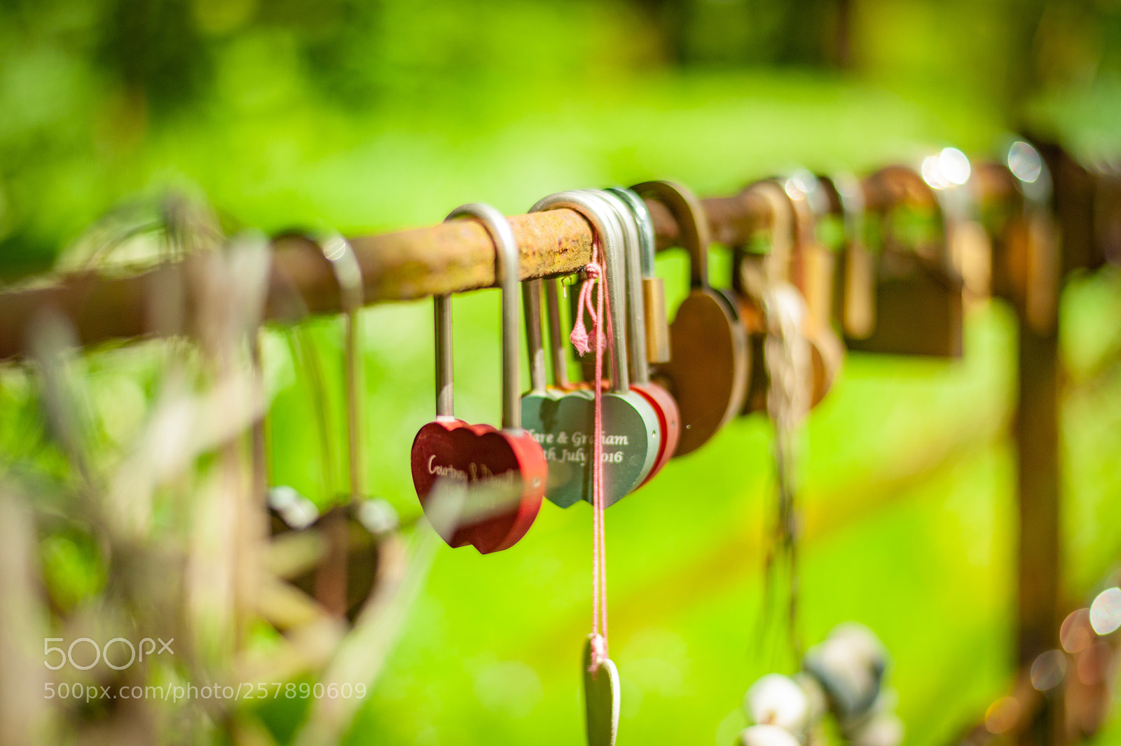 Nikon D700 sample photo. Just wed photography