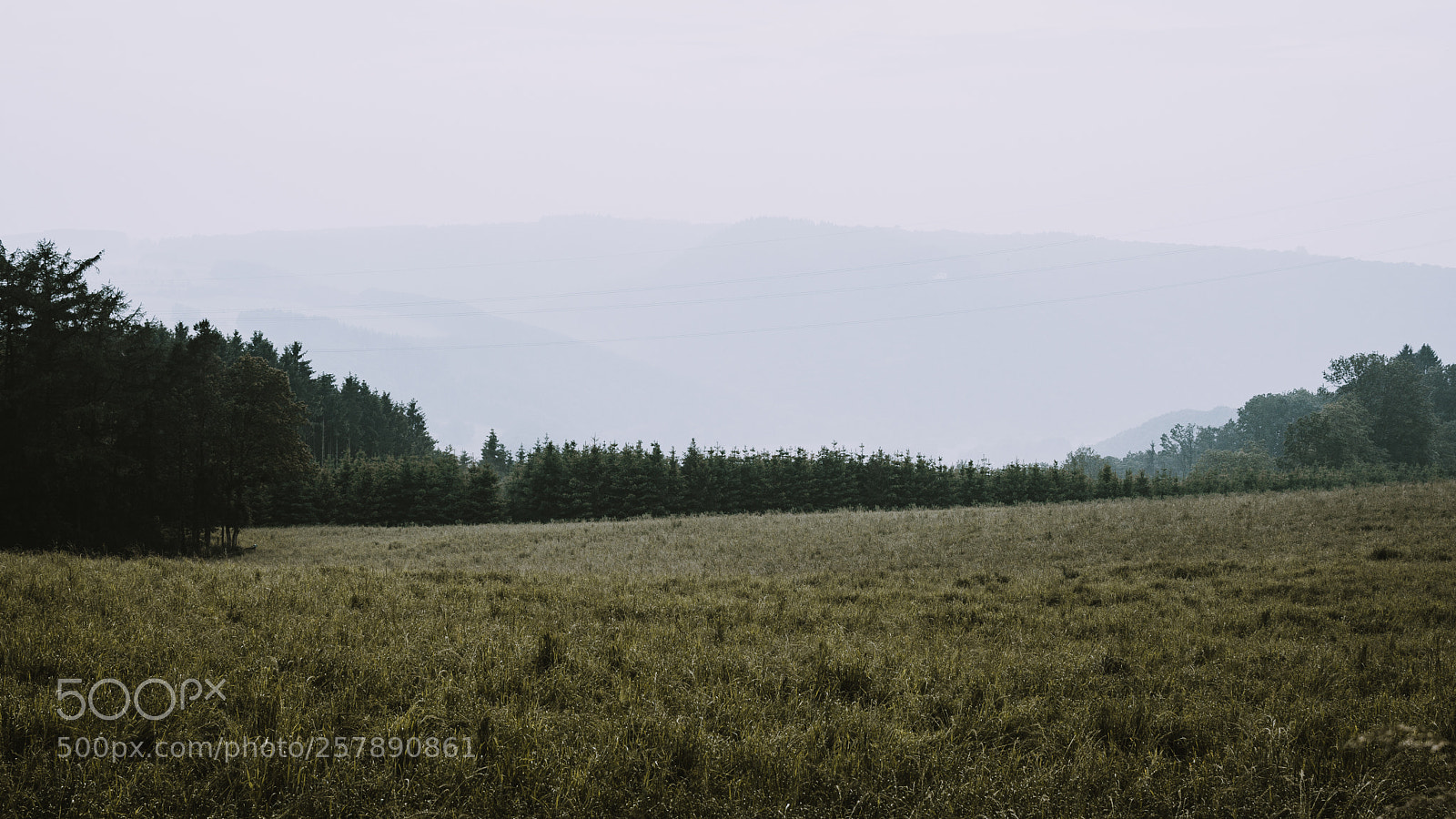 Nikon D7100 sample photo. Ardenne view #1 photography