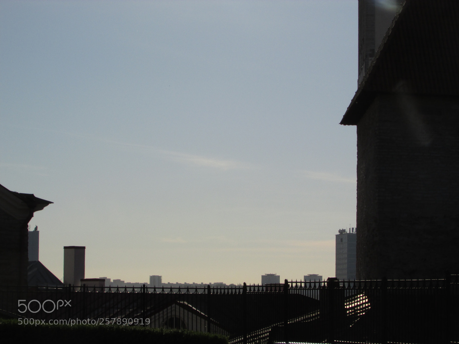 Canon PowerShot SX500 IS sample photo. Waking up photography