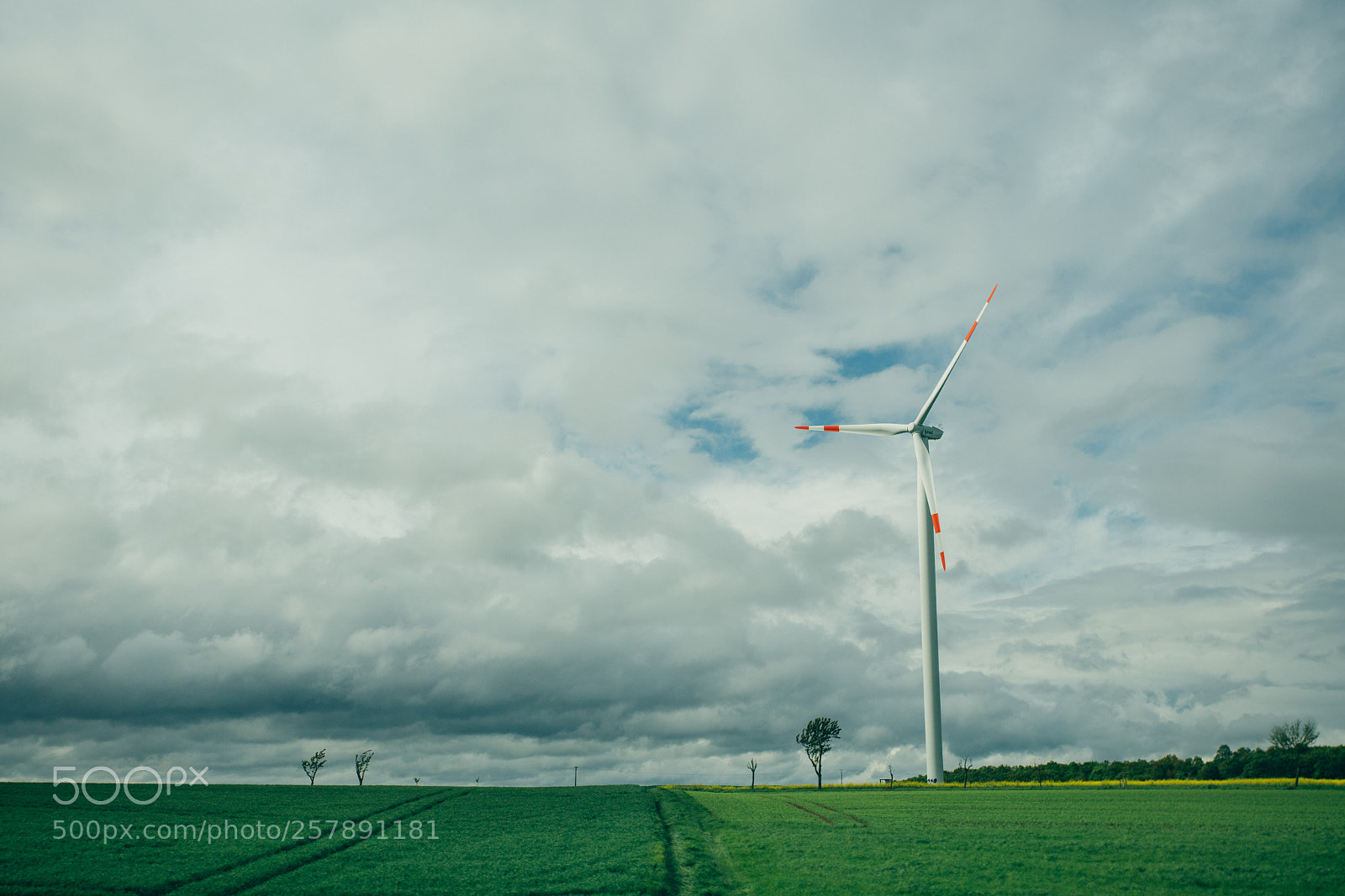 Sony a7R II sample photo. Untitled photography