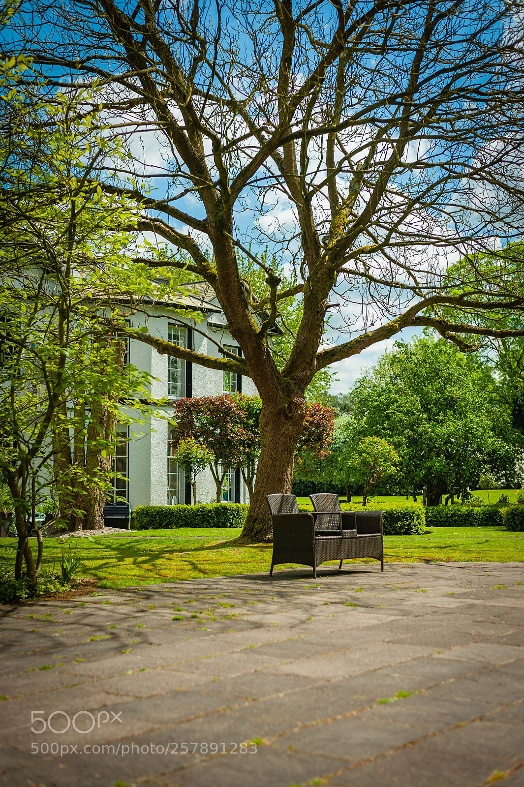Nikon D700 sample photo. Summer is on its photography