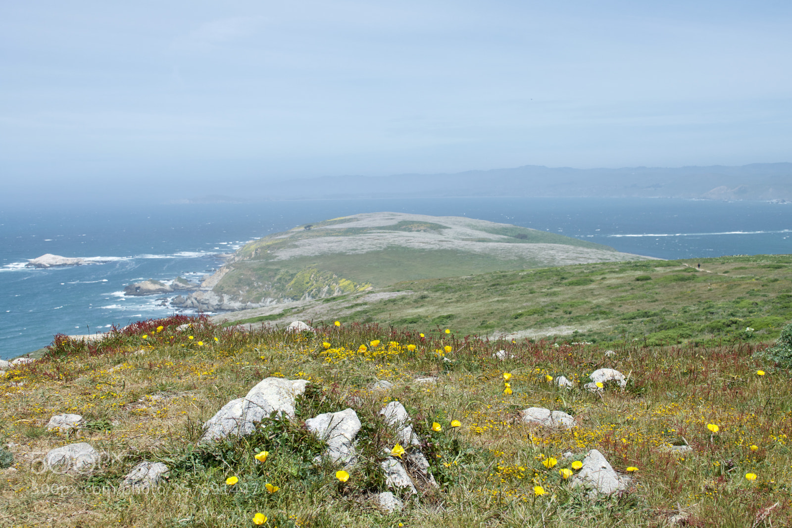 Sony Cyber-shot DSC-RX10 III sample photo. Tomales point photography