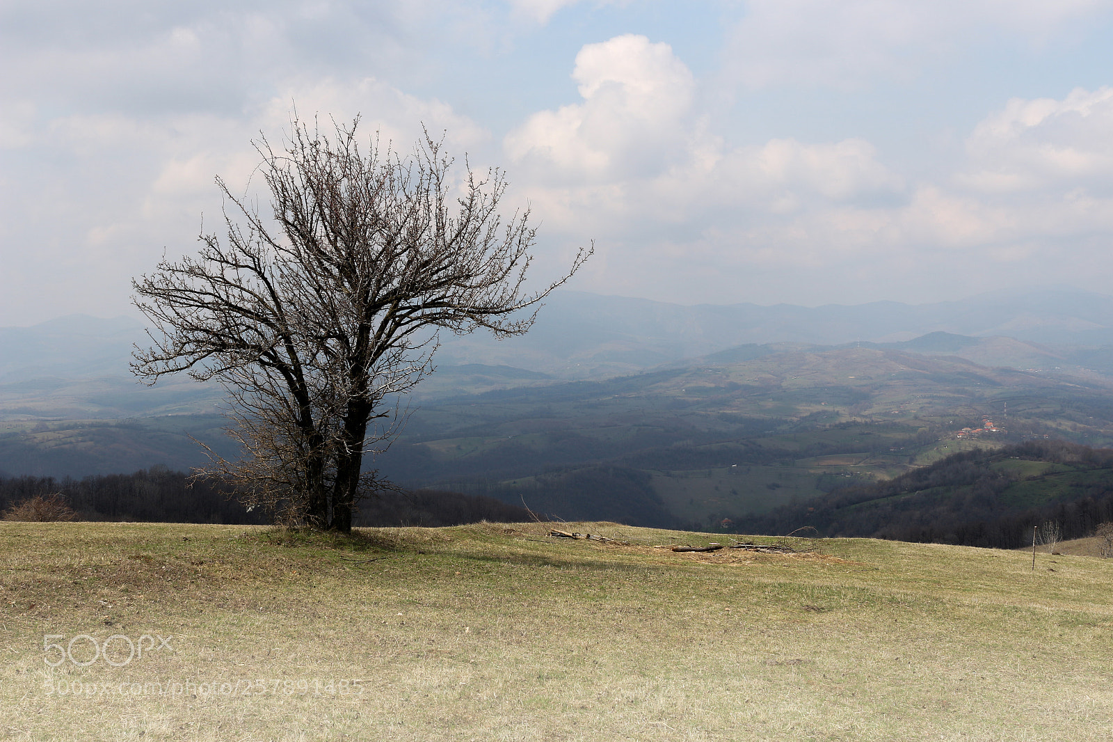 Canon EOS 700D (EOS Rebel T5i / EOS Kiss X7i) sample photo. In solitude photography