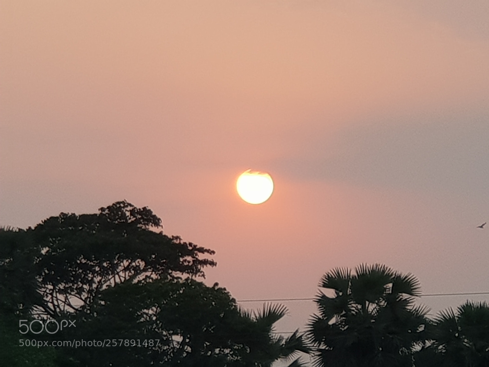 Samsung Galaxy S9+ sample photo. 20180426_173447-1.jpg photography