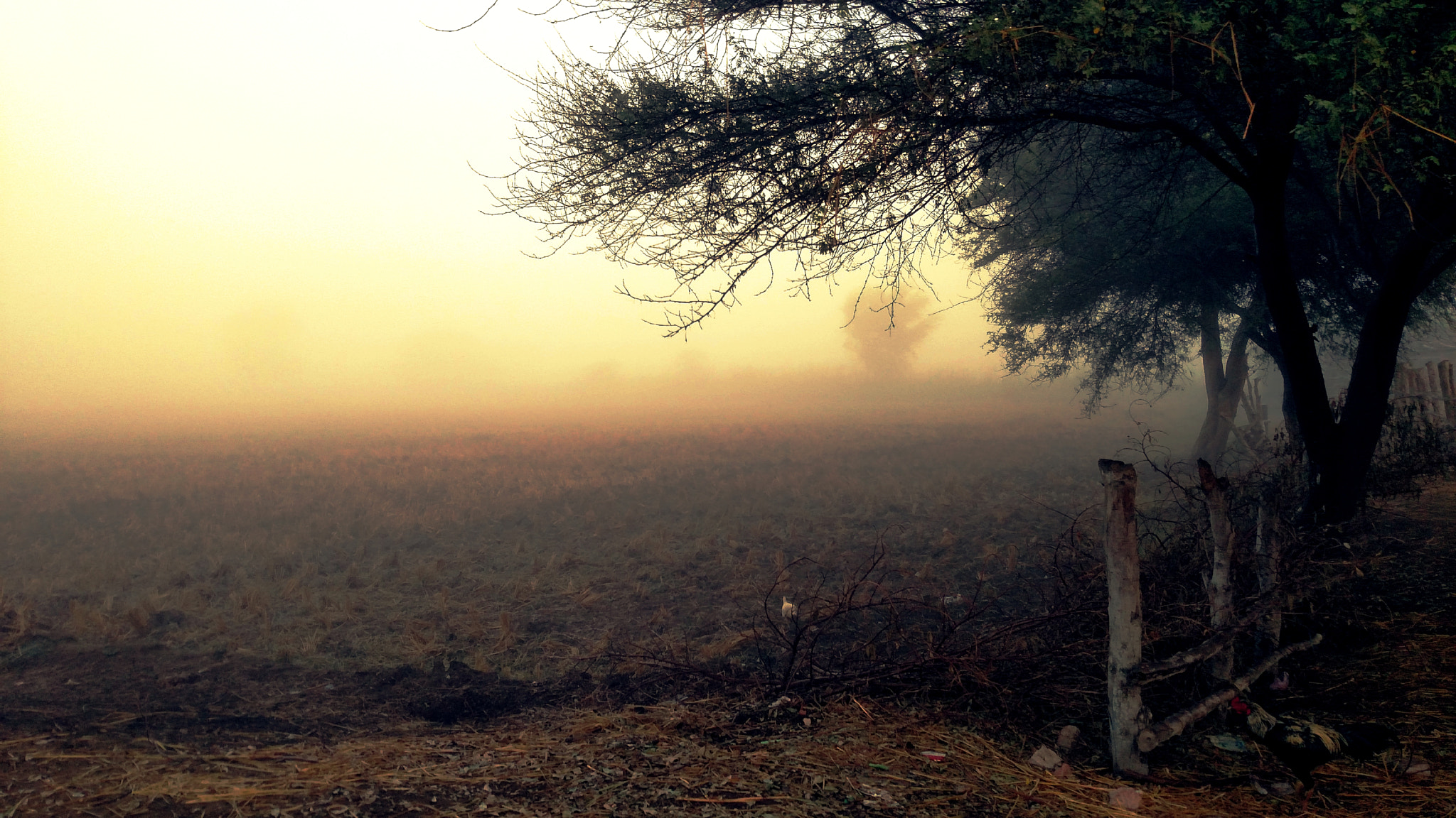 Motorola Droid Turbo sample photo. Rural photography