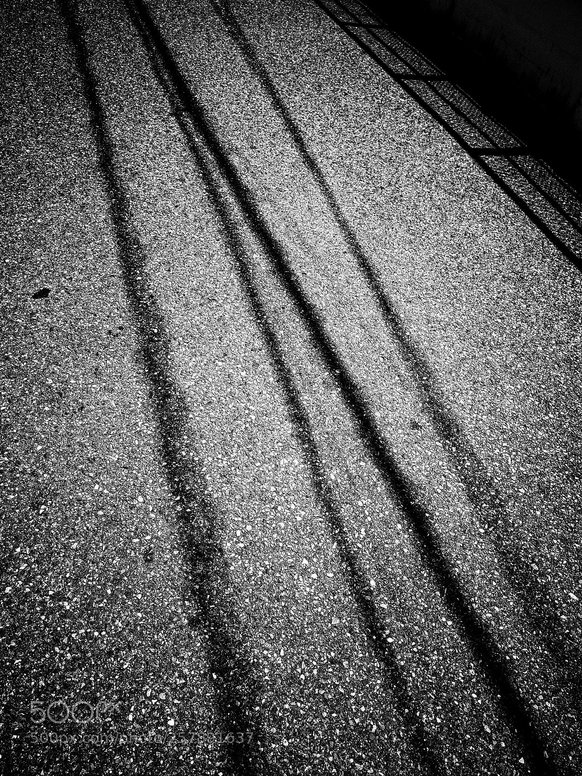 Ricoh GR II sample photo. Untitled photography