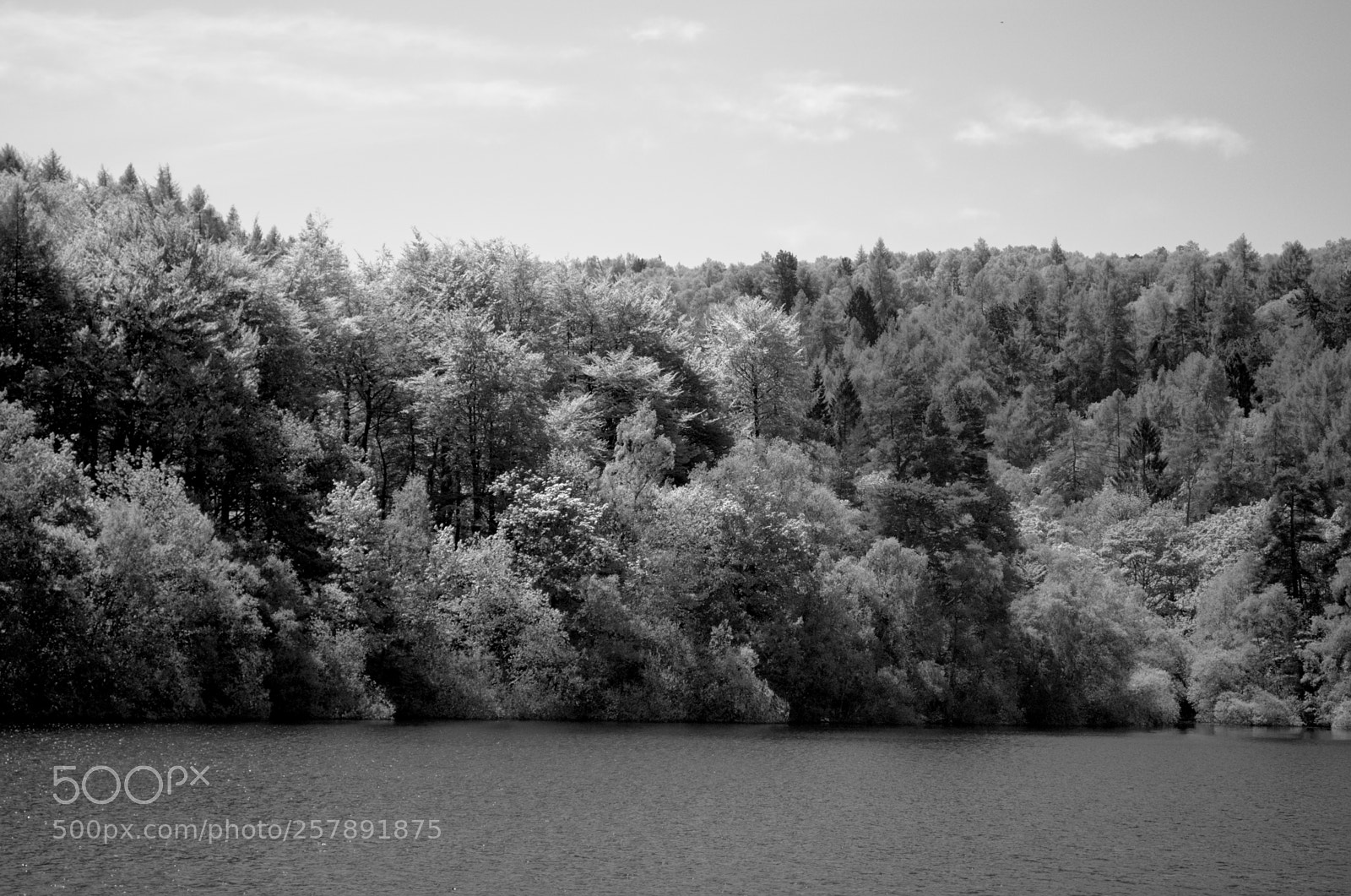 Nikon D5100 sample photo. Spring photography
