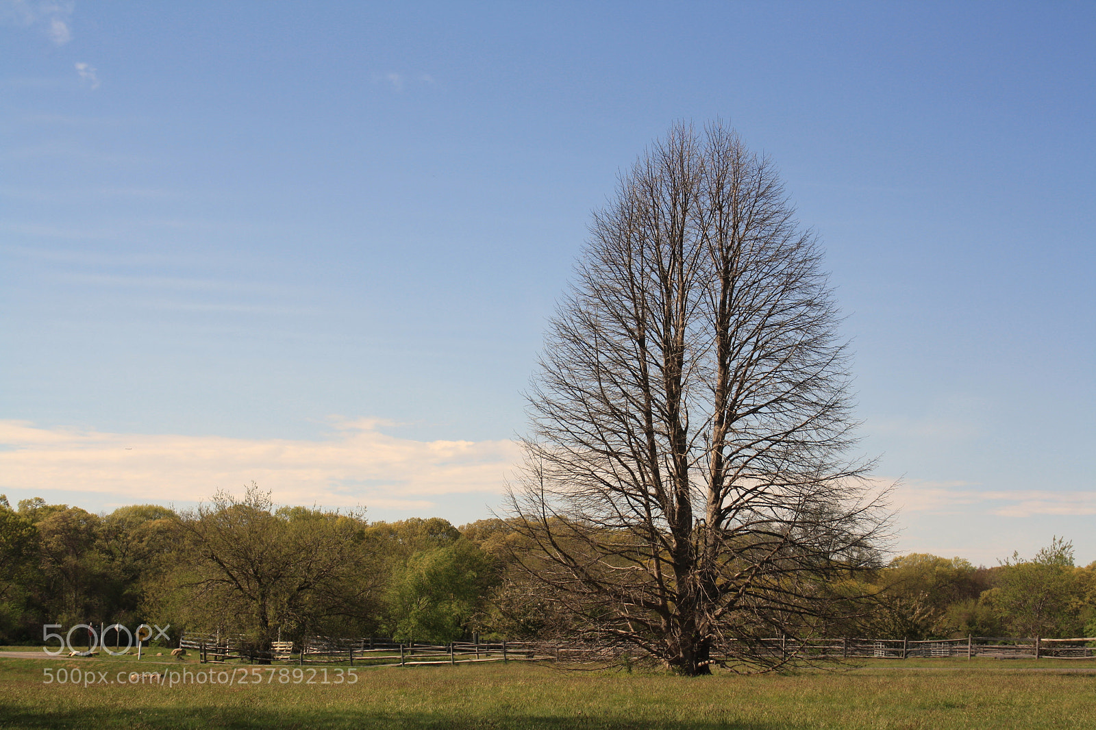 Canon EOS 1000D (EOS Digital Rebel XS / EOS Kiss F) sample photo. Caumsett photography