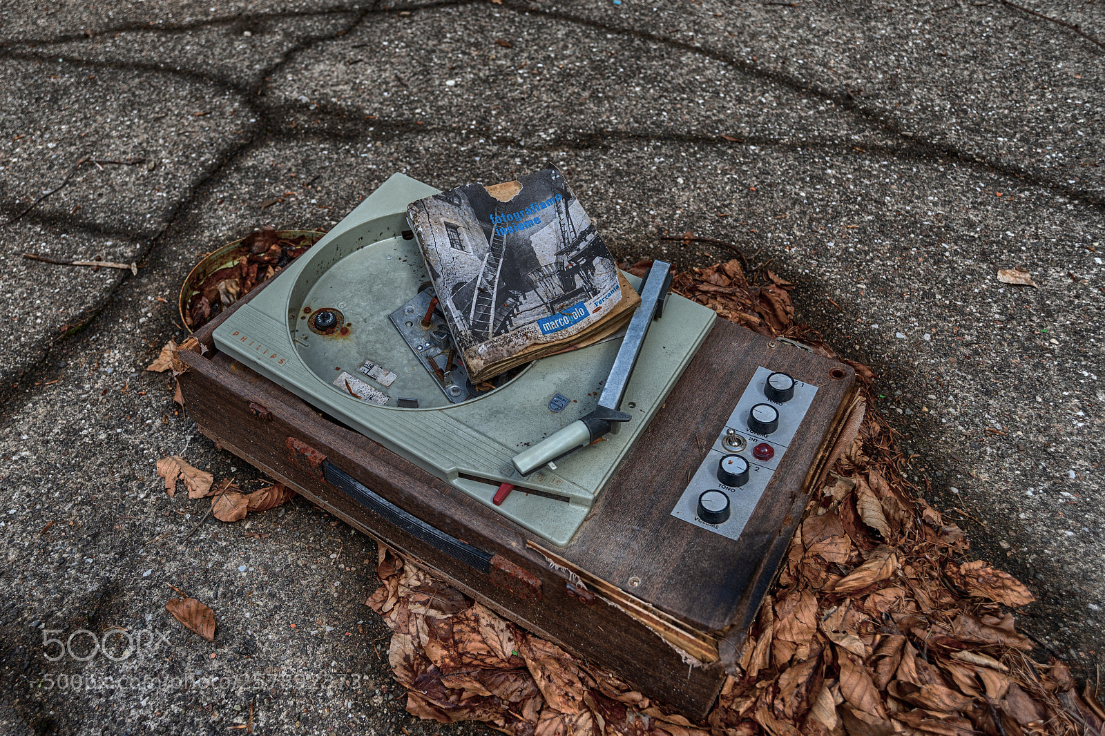 Nikon D610 sample photo. Mute on photography
