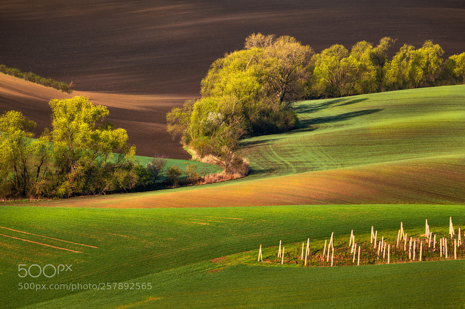 Canon EOS 6D sample photo. Spring moravia photography