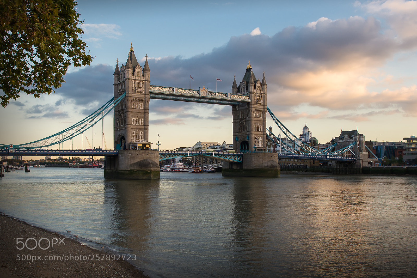 Nikon D610 sample photo. Tower bridge, london photography