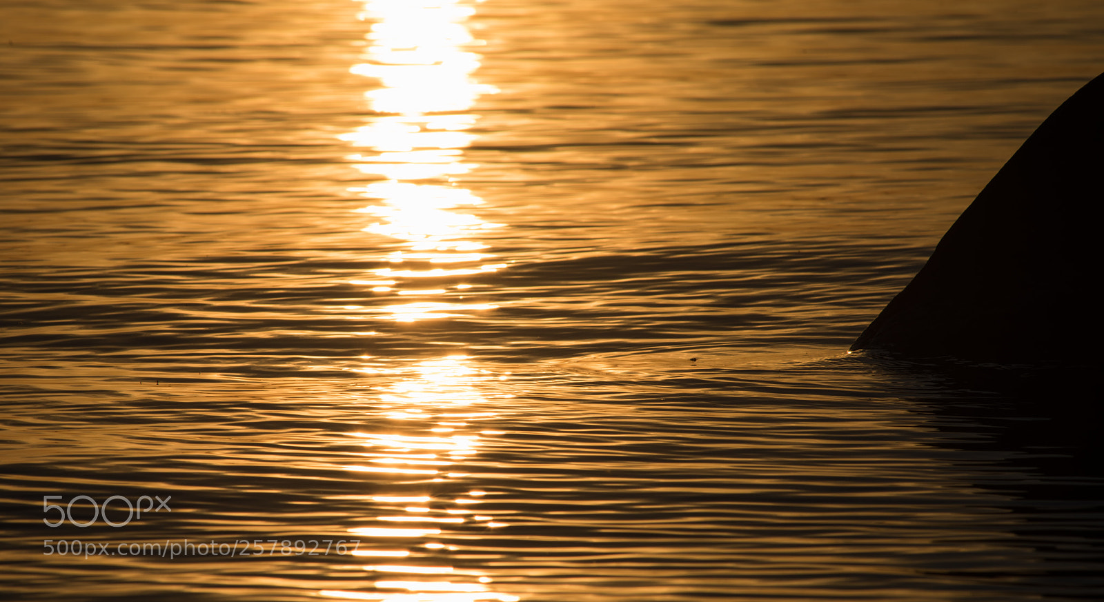 Nikon D810 sample photo. Sunset reflection photography