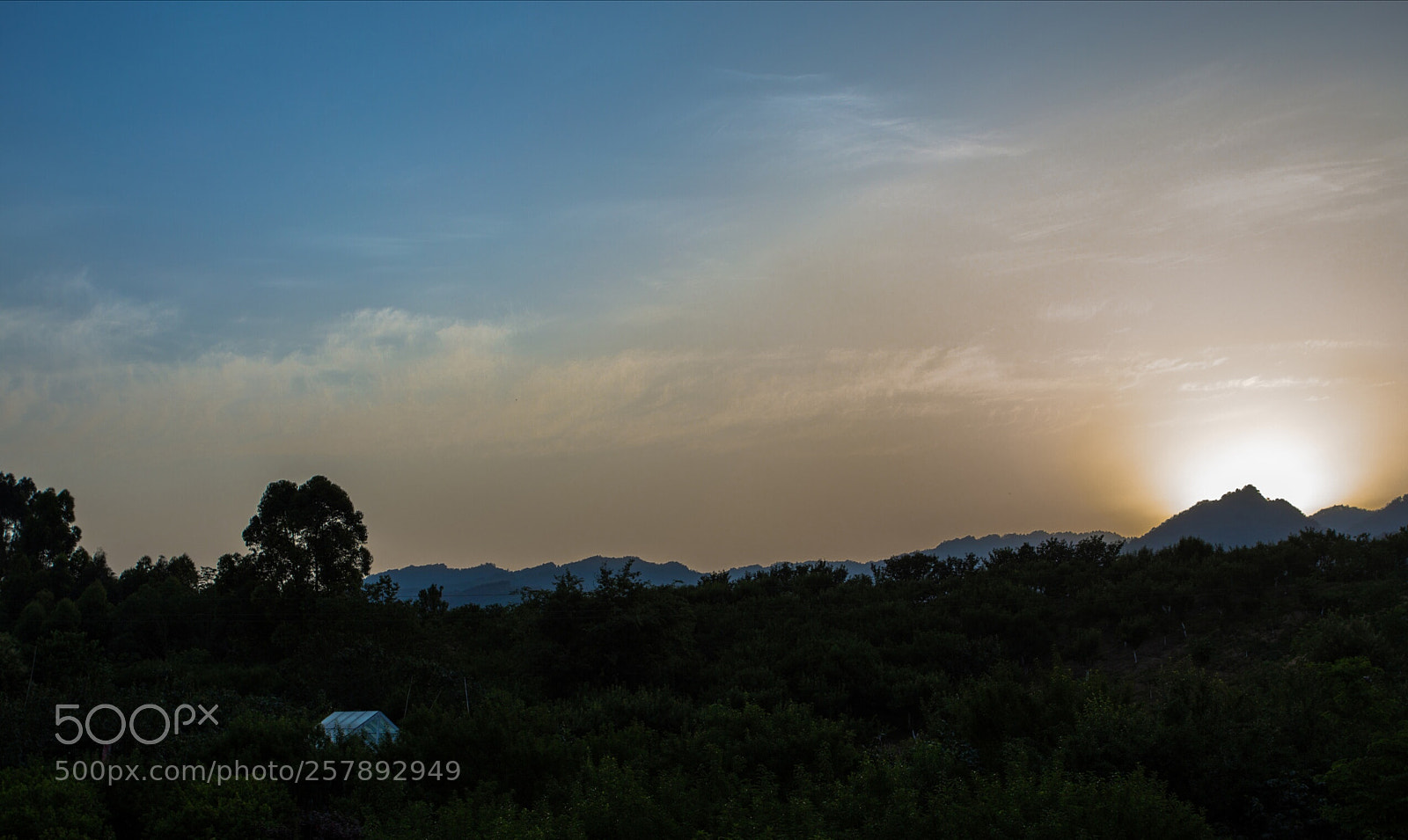 Canon EOS 6D sample photo. Untitled photography