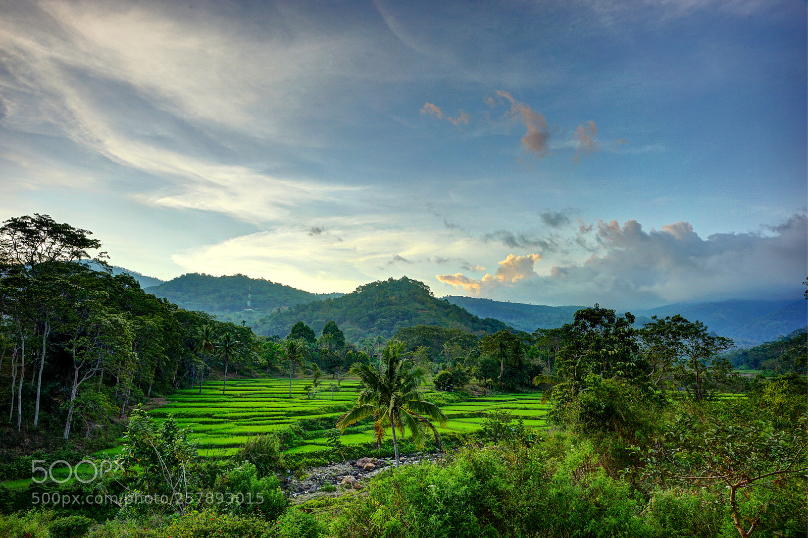 Sony a7 II sample photo. The view around the photography