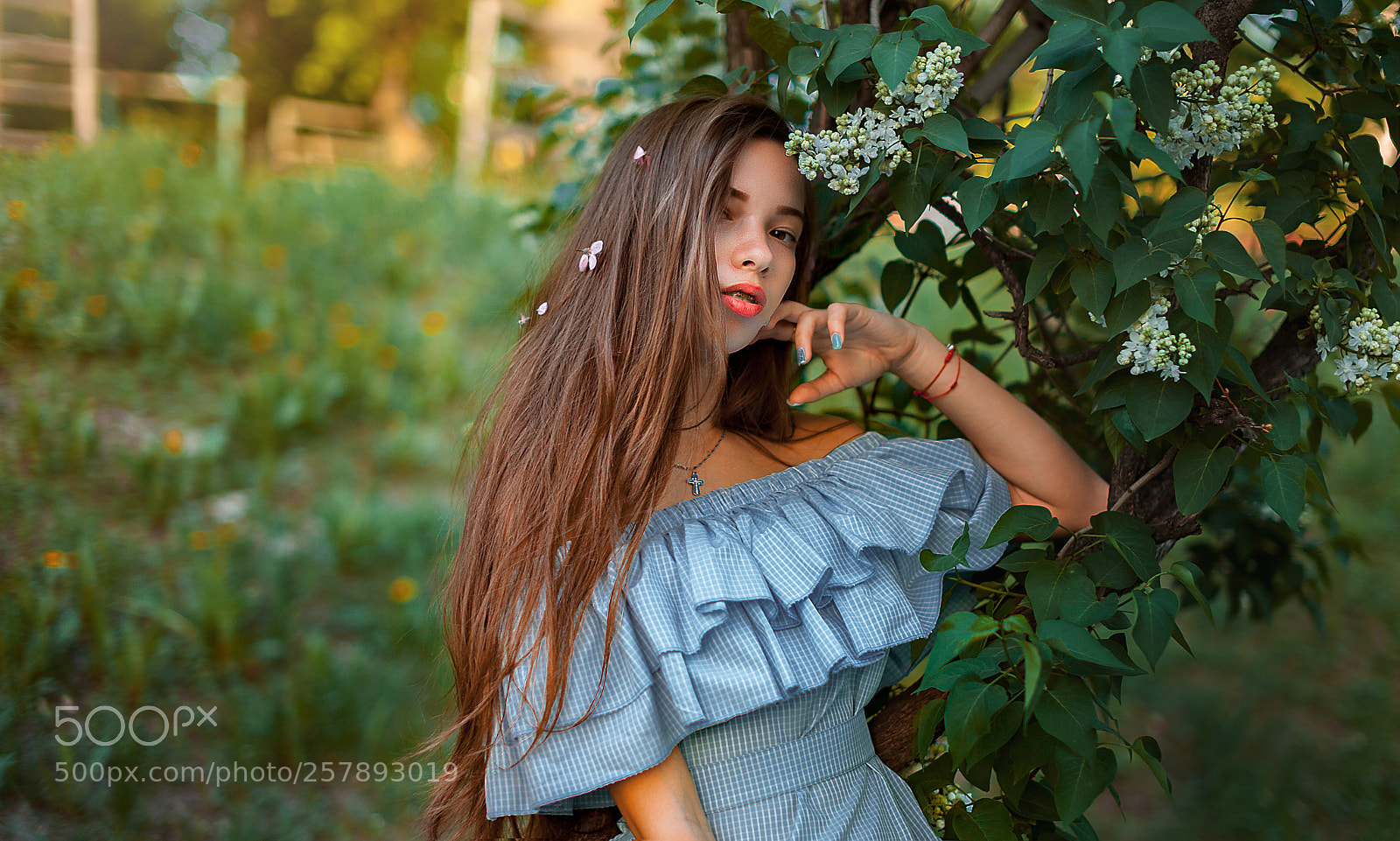 Canon EOS 5D Mark II sample photo. Mg photography