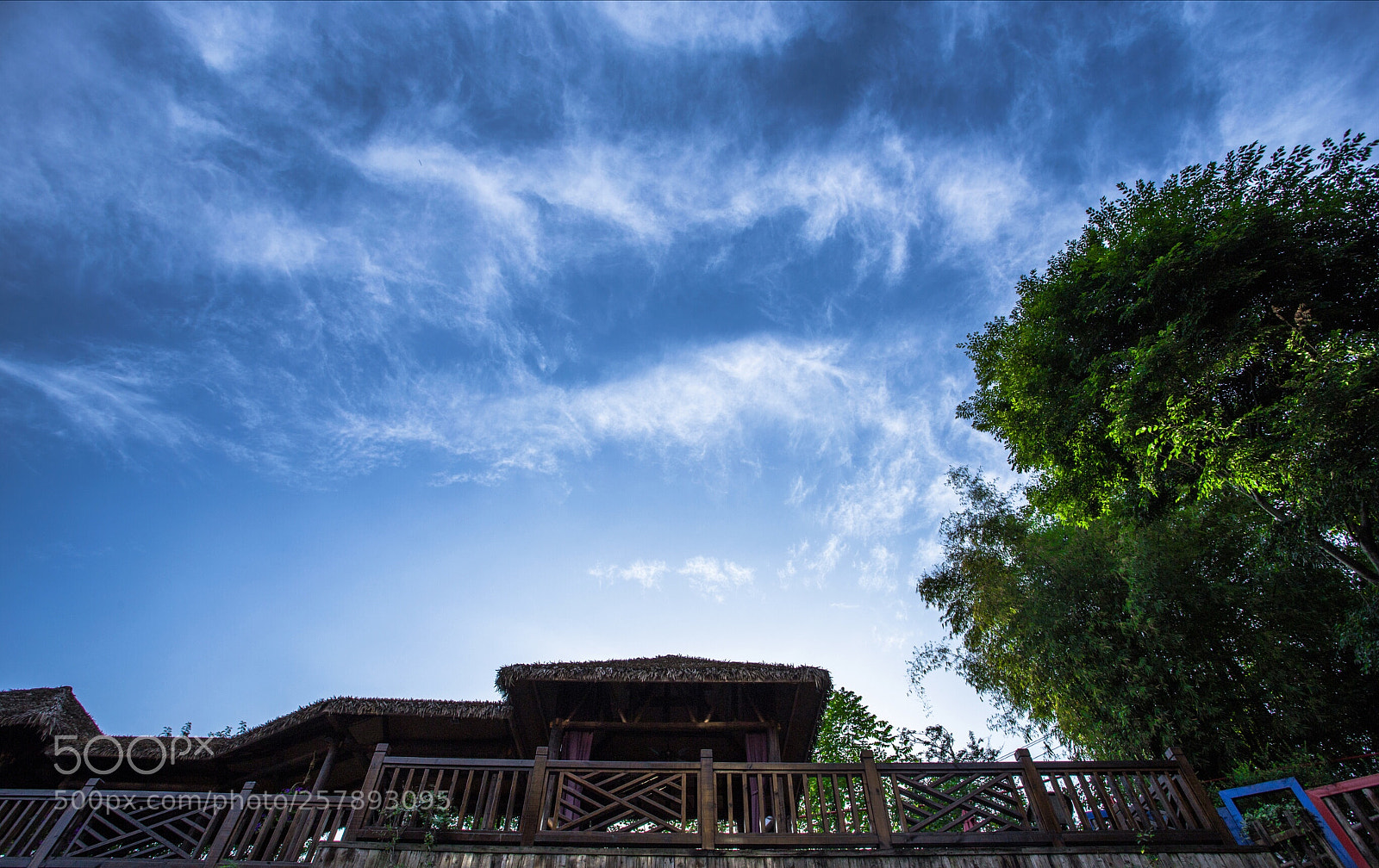Canon EOS 6D sample photo. Untitled photography