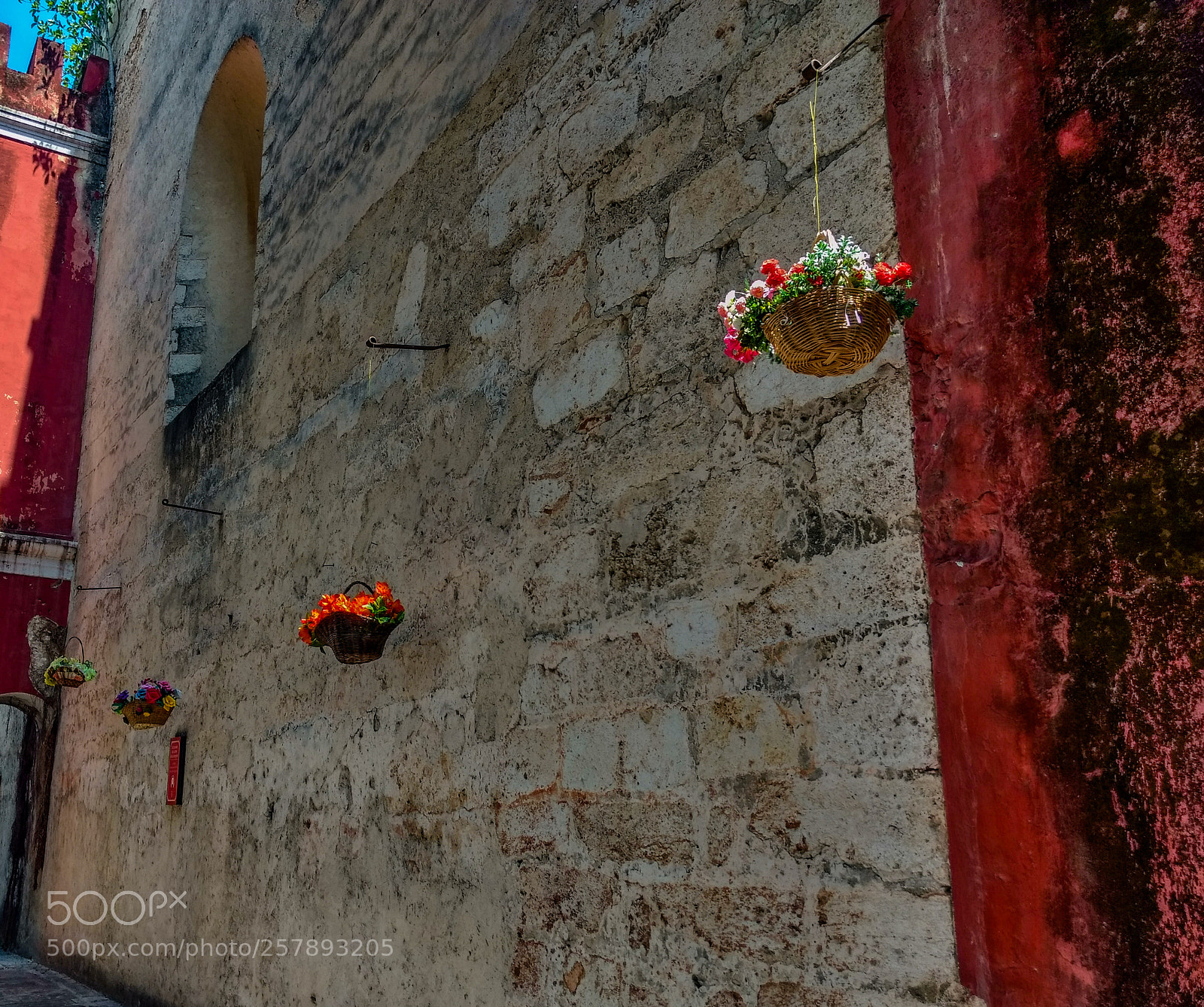 Motorola Moto G (4) sample photo. Pared y flores photography