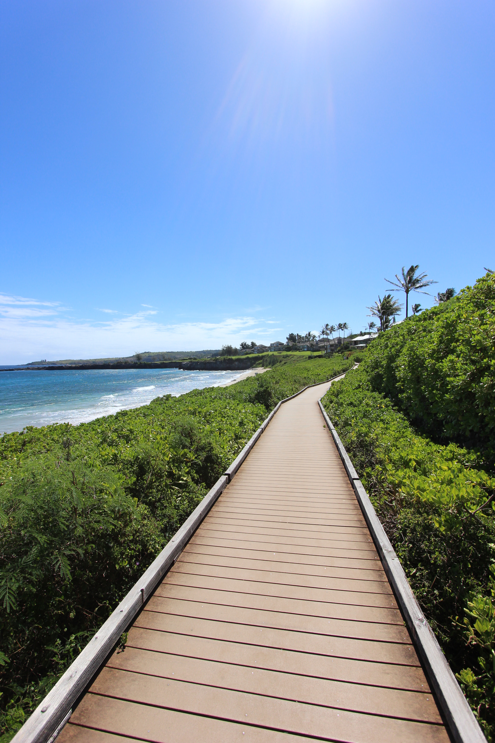 Canon EF-S 10-22mm F3.5-4.5 USM sample photo. Kapalua promenade, maui photography