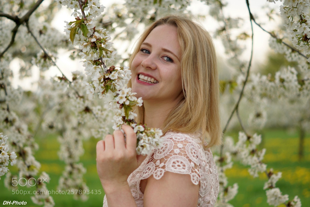 Sony ILCA-77M2 sample photo. Spring beauty with cherry photography