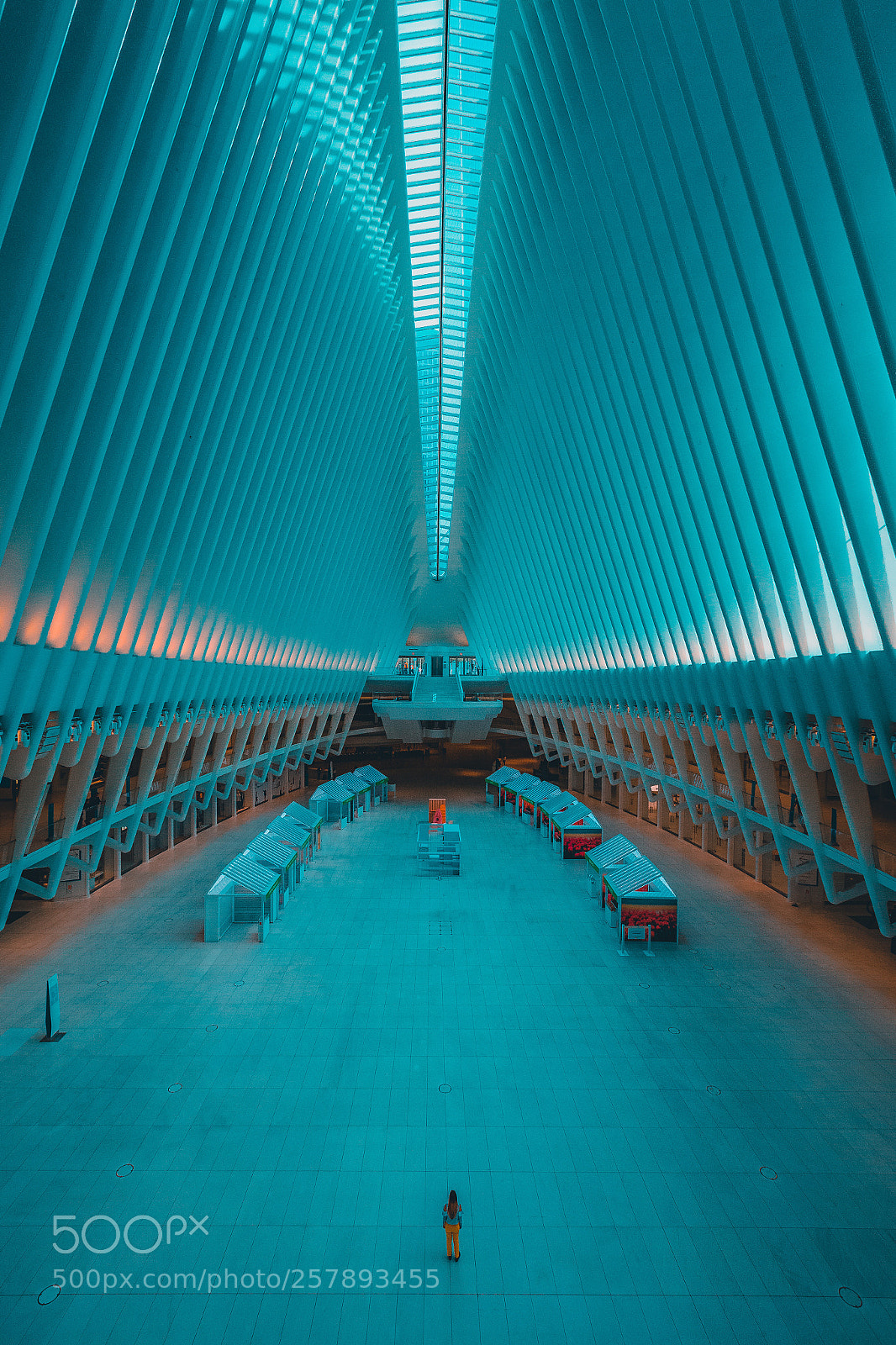 Canon EOS 6D sample photo. Tranquility in the oculus photography