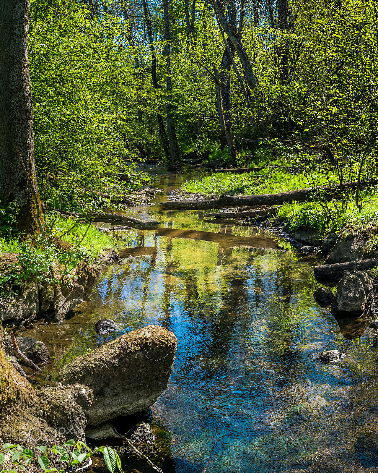 Sony a7R II sample photo. Streaming media photography