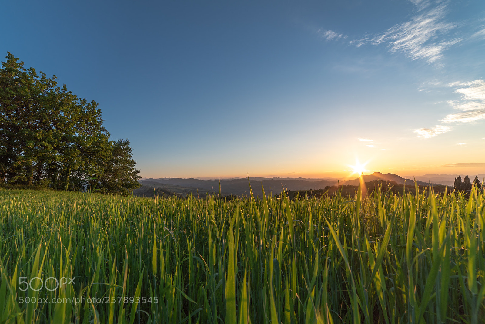 Nikon D750 sample photo. Parco carn , tramonto photography