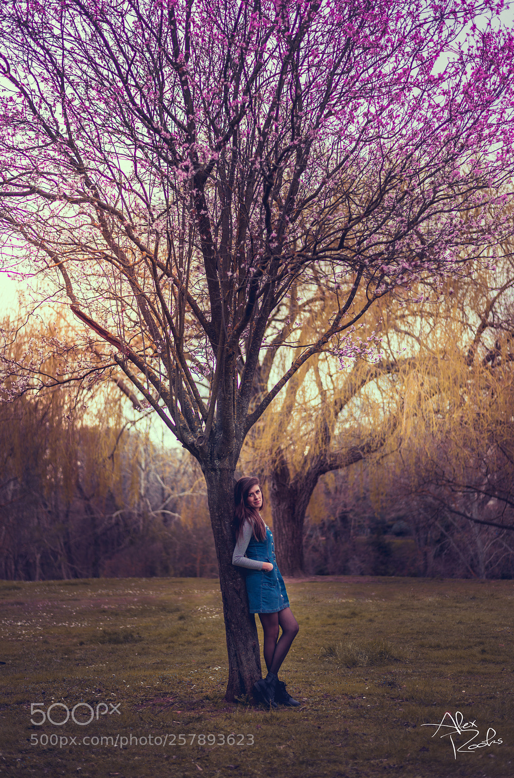 Nikon D800 sample photo. Fanny photography