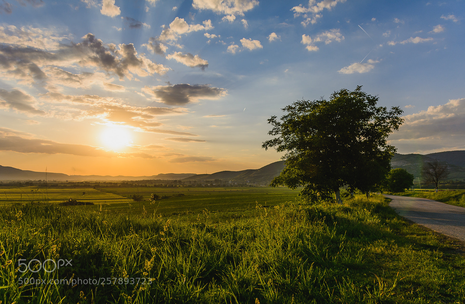 Nikon D7100 sample photo. Majus photography