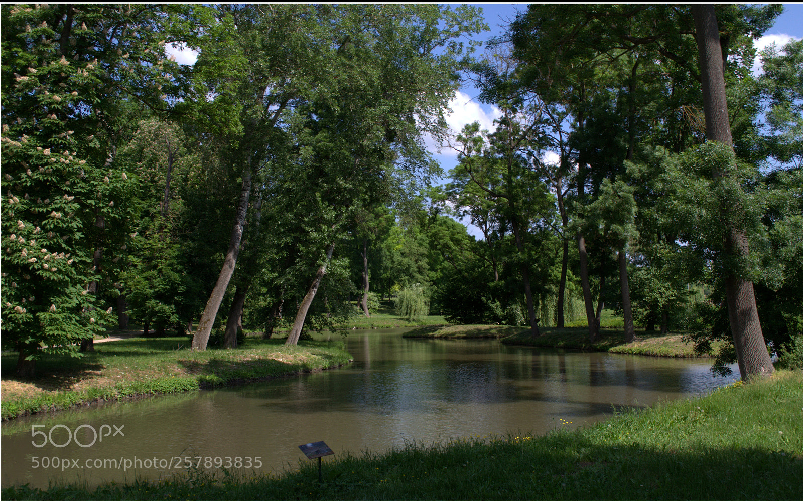 Nikon D3100 sample photo. T a d gi photography
