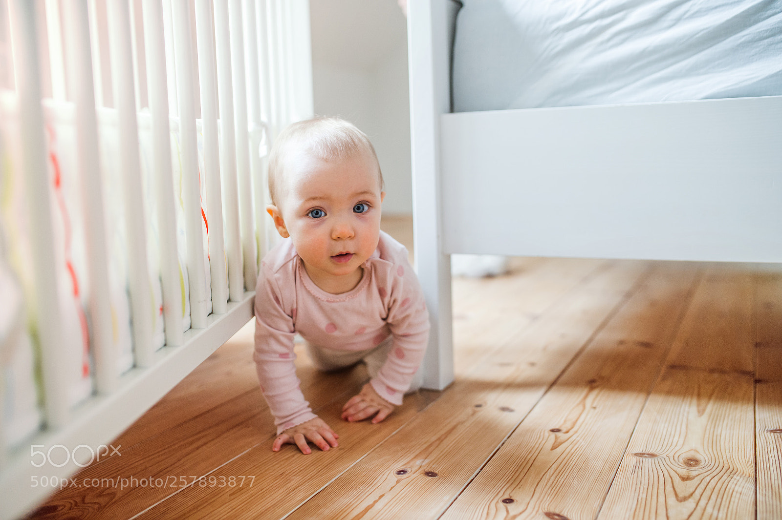 Nikon D4S sample photo. A toddler child crawling photography