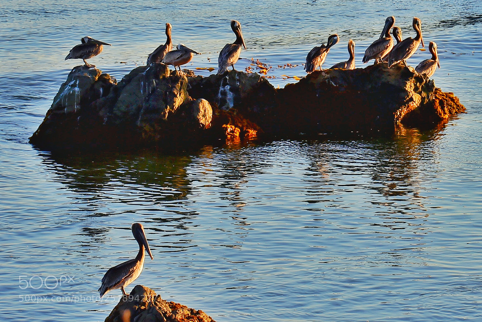 Nikon D4S sample photo. Demesne photography