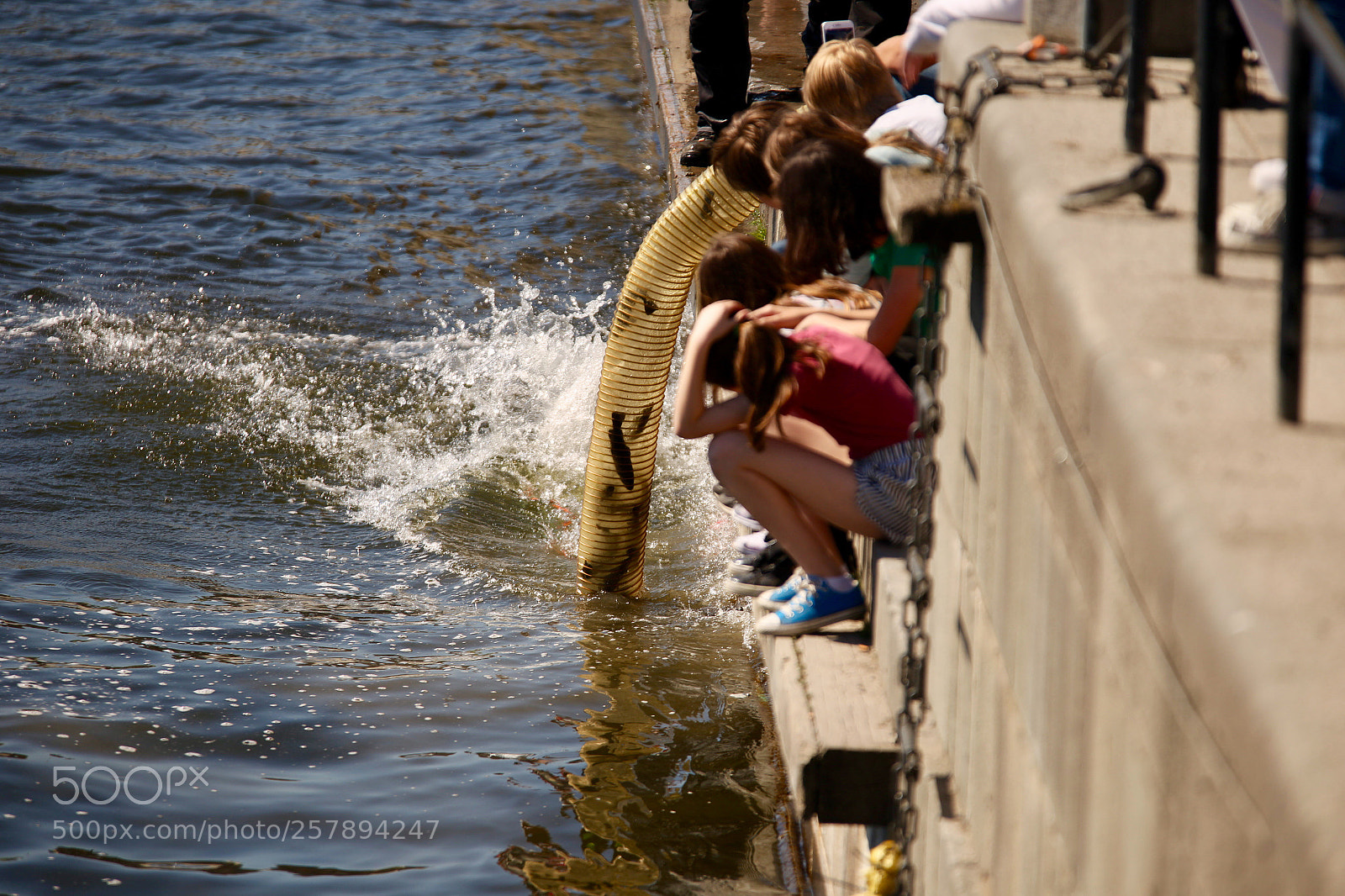 Canon EOS 6D sample photo. Untitled photography