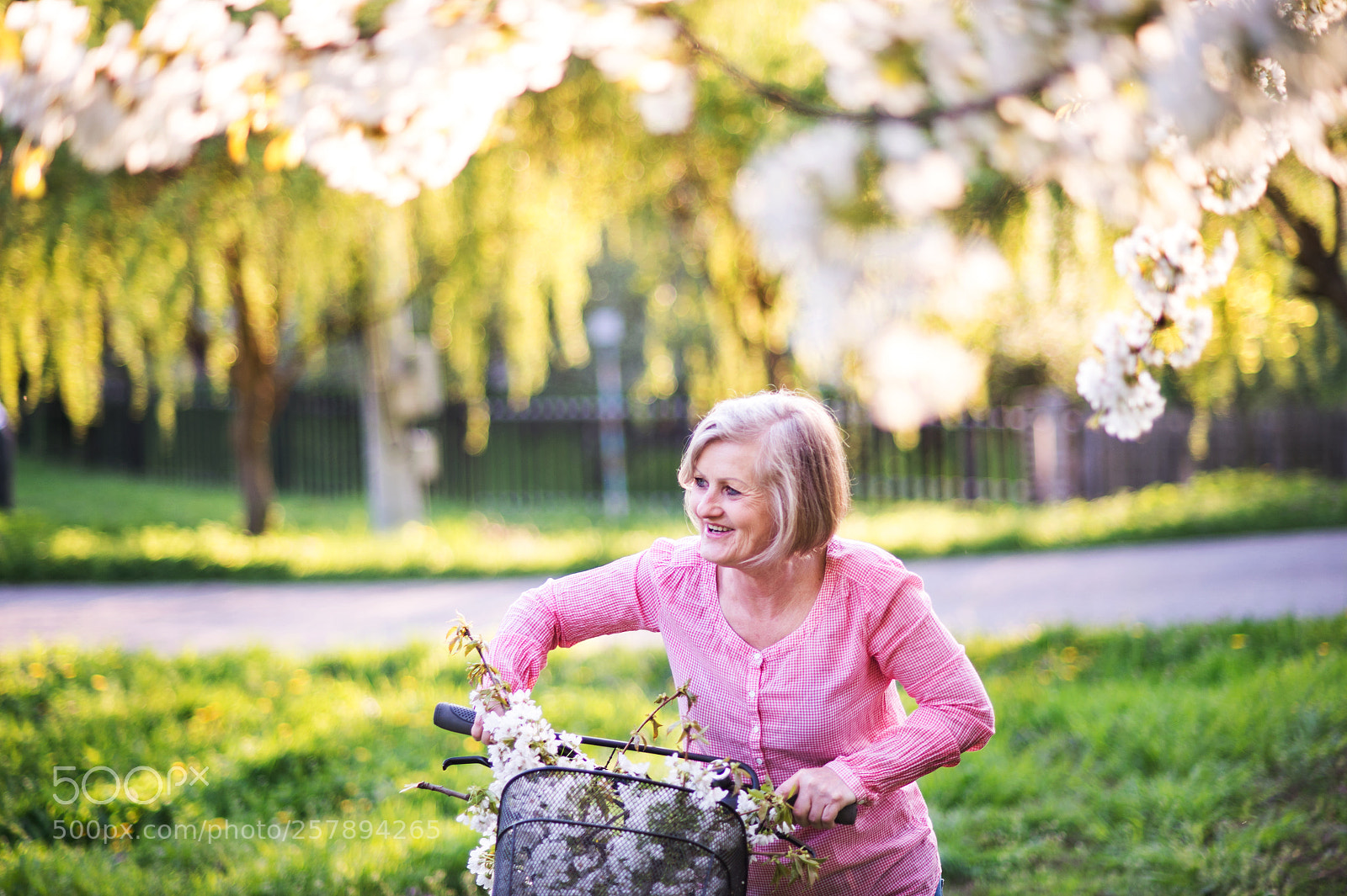 Nikon D4S sample photo. Beautiful senior woman with photography