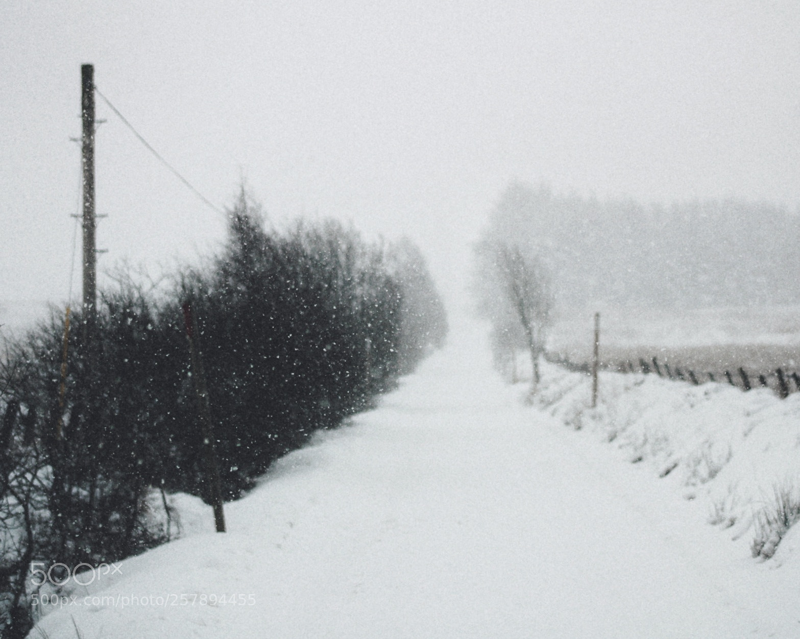 Canon EOS 1300D (EOS Rebel T6 / EOS Kiss X80) sample photo. Snow road photography
