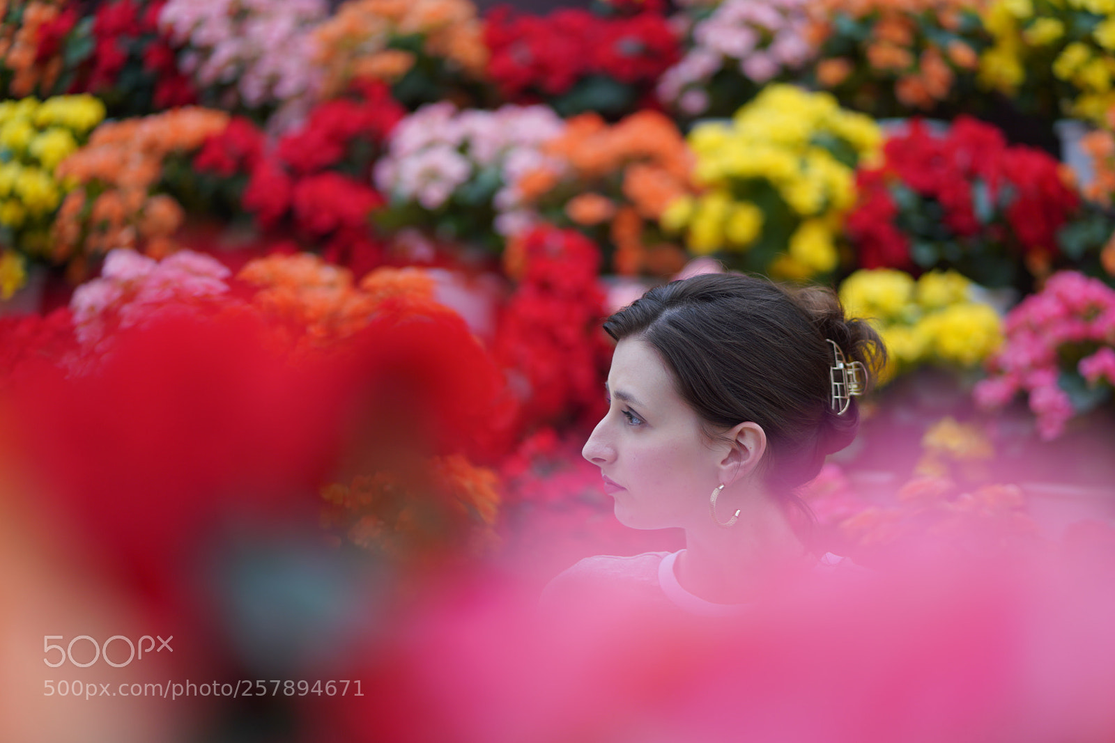 Sony a7R III sample photo. Pink lady photography