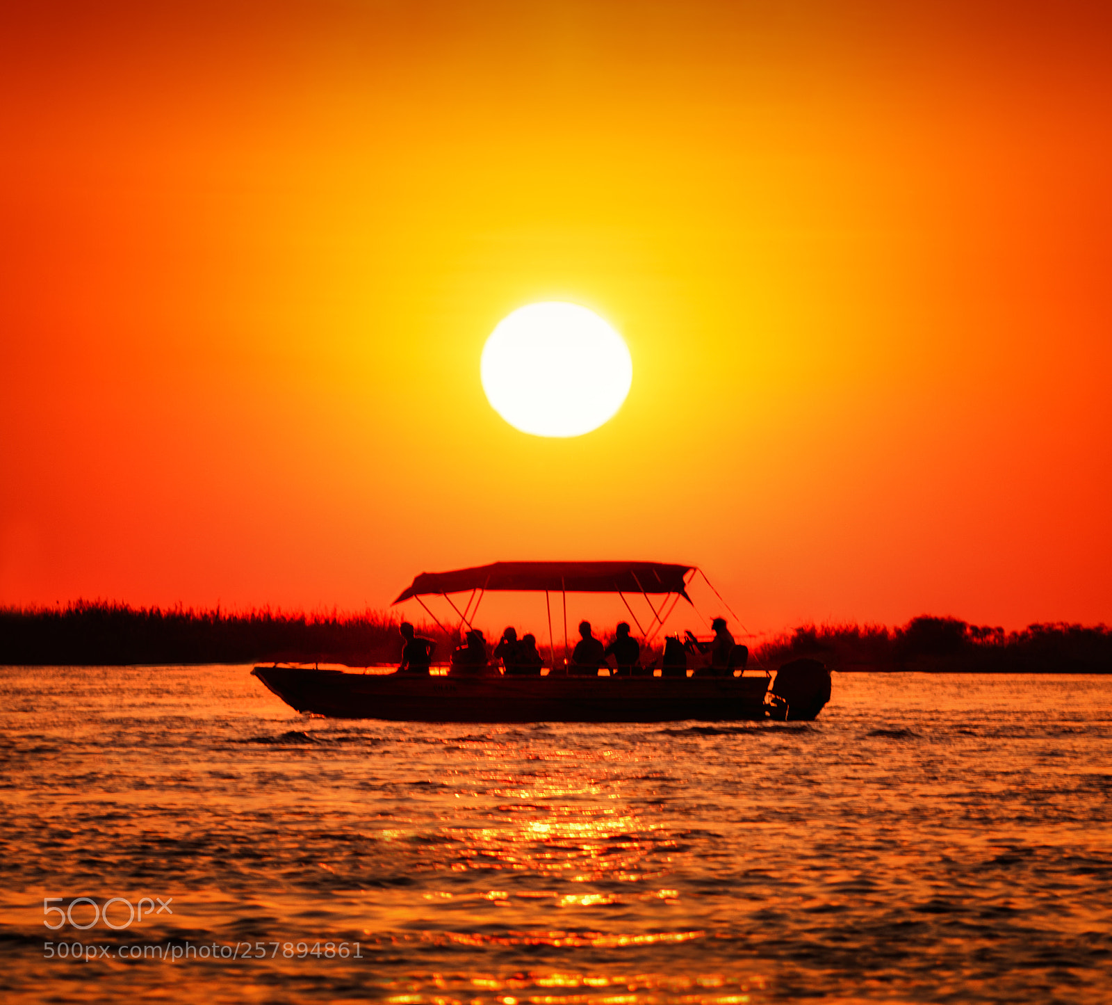 Nikon D810 sample photo. The kingdom of the photography
