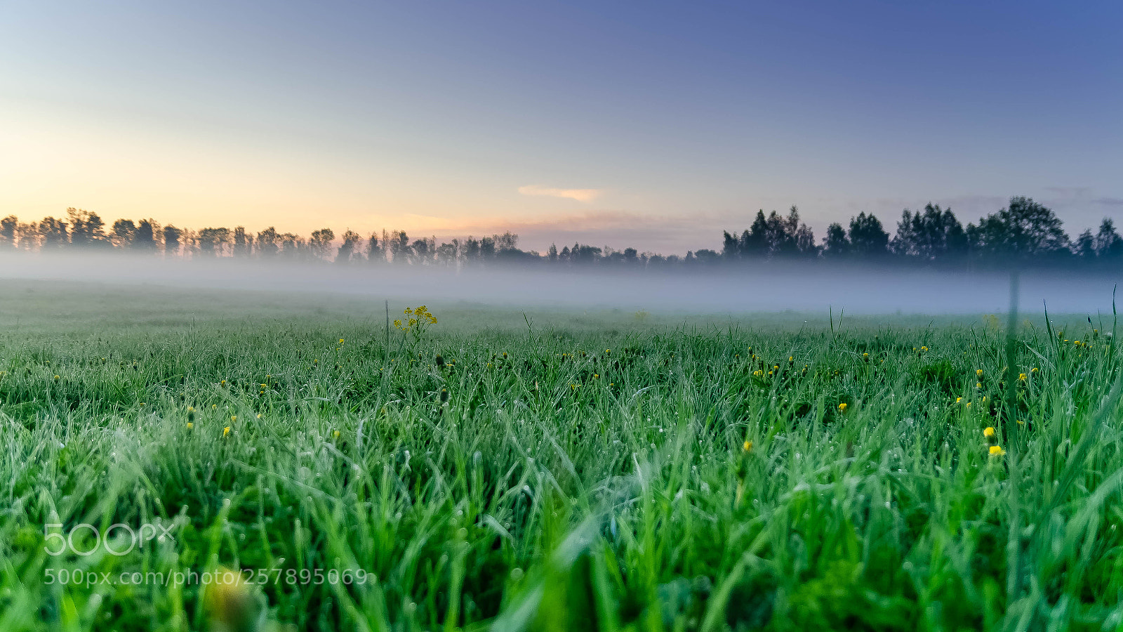Nikon D5100 sample photo. Misty morning photography