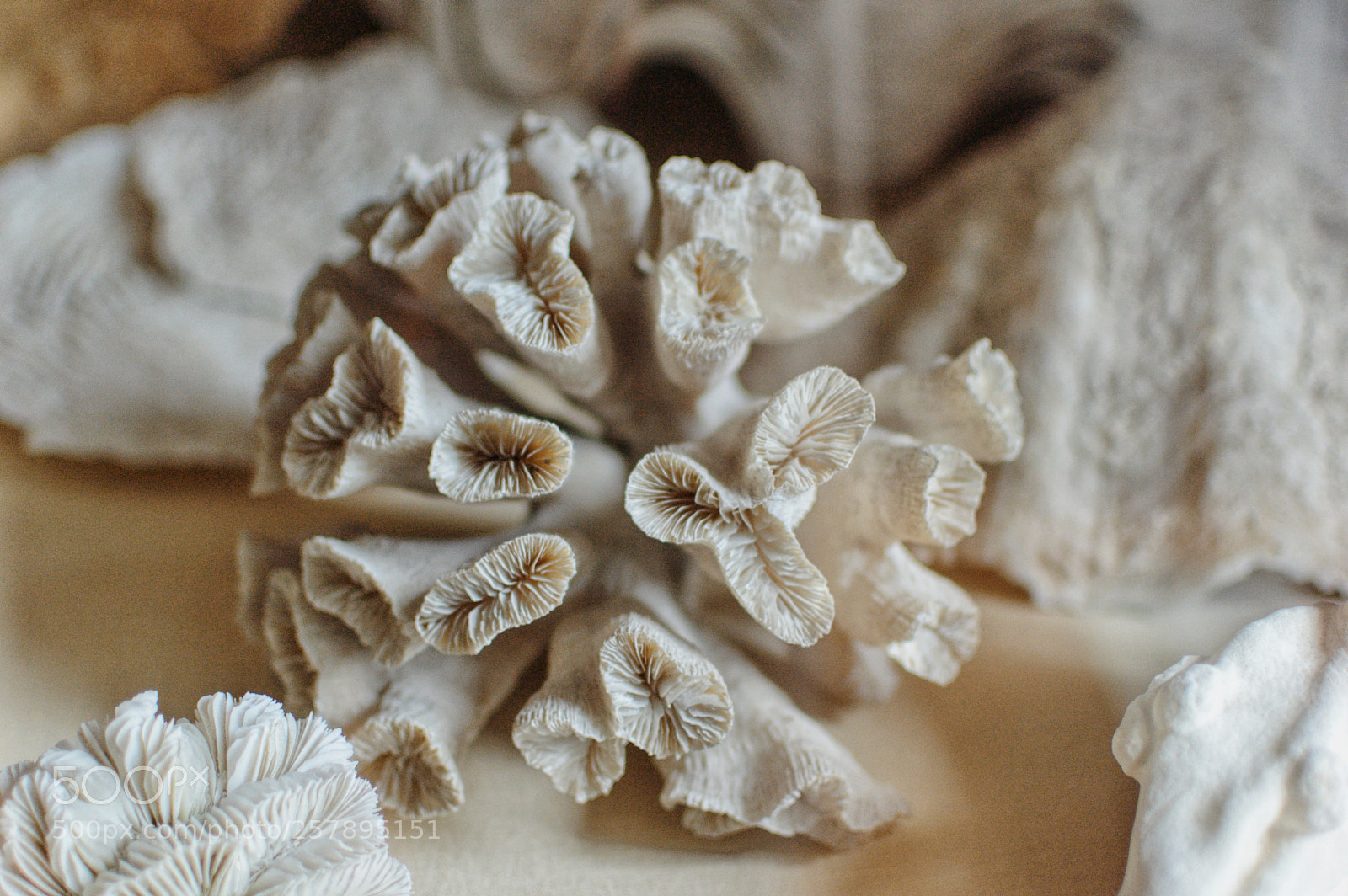 Nikon D40 sample photo. Nature always wears the photography